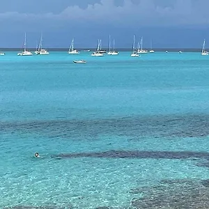https://stintino-sea-front-apartments-b.in-sardinia.net